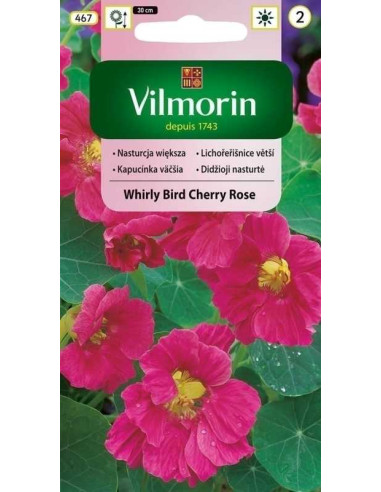 Nasturcja większa Whirly Bird Cherry Rose 3g