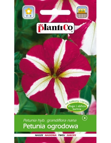 Petunia ogrodowa biało-czerwona 0,05g
