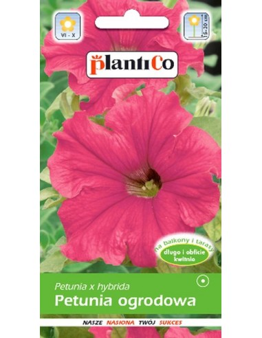 Petunia ogrodowa amarantowa 0,05g