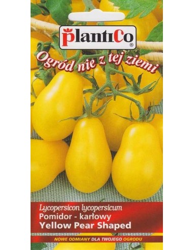 Pomidor gruntowy drobnoowocowy wysoki żółty Yellow Pear Shaped 0,2g