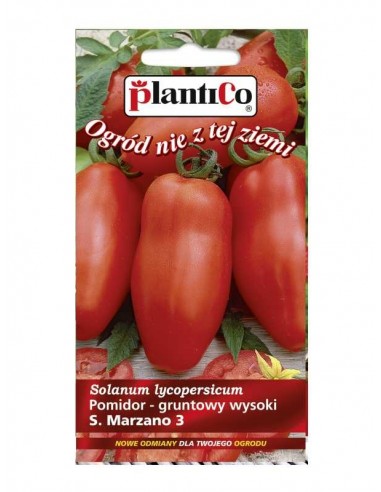 Pomidor gruntowy wysoki San Marzano 3 0,2g