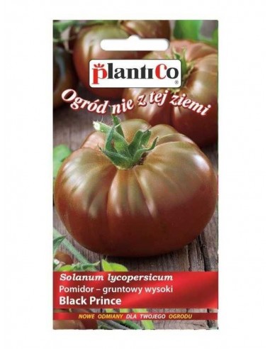 Pomidor gruntowy wysoki Black Prince 0,2g