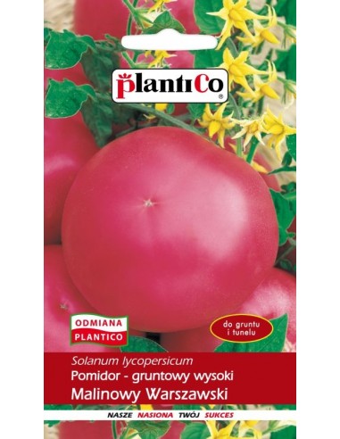 Pomidor gruntowy wysoki Malinowy Warszawski 10g