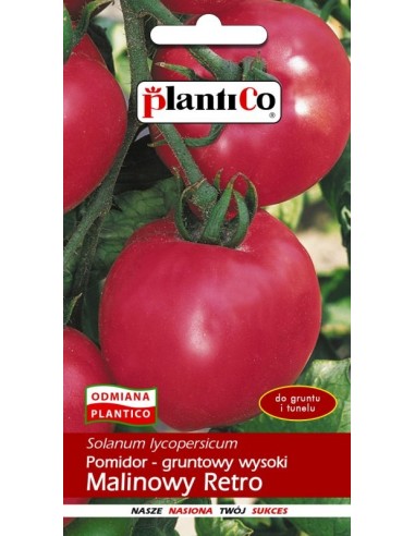 Pomidor gruntowy wysoki Malinowy Retro 10g