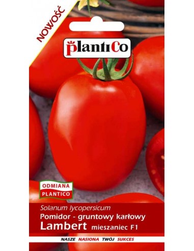 Pomidor gruntowy karłowy Lambert F1 10g