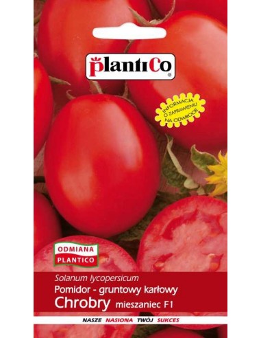 Pomidor gruntowy karłowy Chrobry F1 0,5g