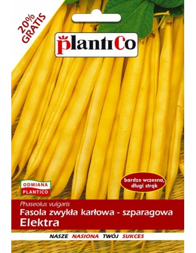 Fasola szparagowa karłowa żółta Elektra 40+8g