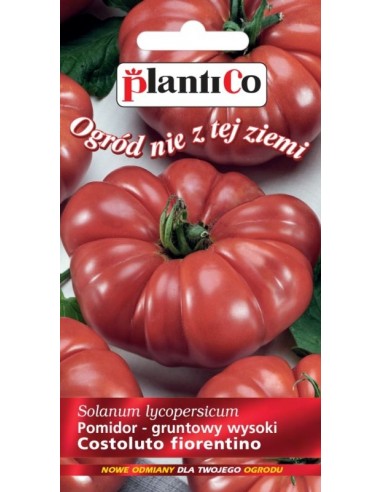 Pomidor gruntowy wysoki Costoluto fiorentino 0,2g