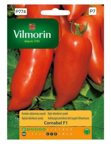 Pomidor pod osłony Cornabel F1 15szt
