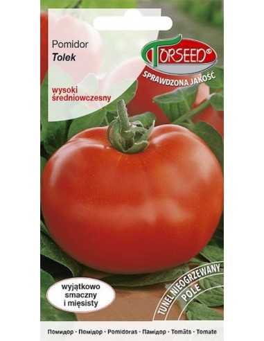Pomidor gruntowy wysoki Tolek 0,1g