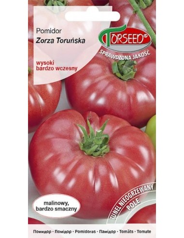 Pomidor gruntowy wysoki Zorza Toruńska 0,5g