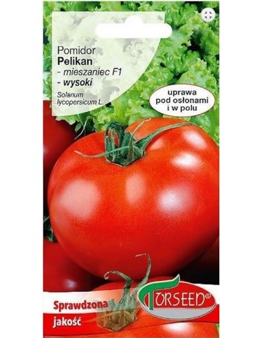 Pomidor pod osłony Pelikan F1 0,5g