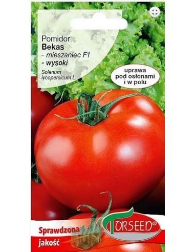 Pomidor pod osłony Bekas F1 0,5g
